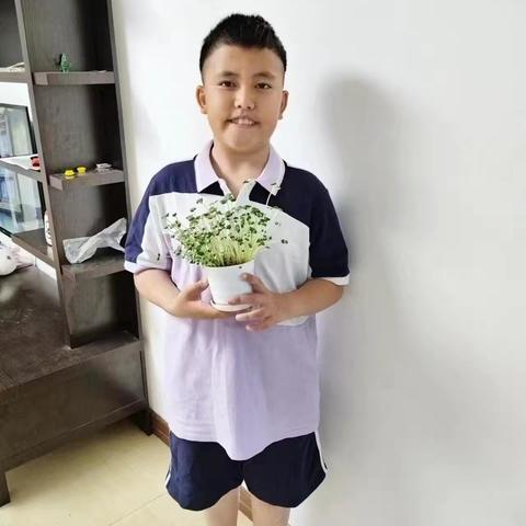 多彩争章，卓越成长‍——五3班刘晟凯同学的成长诗篇