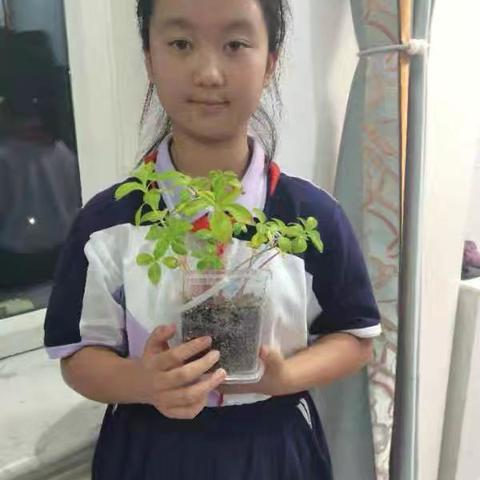 多彩争章，卓越成长‍——五3班张梓萱同学的成长诗篇