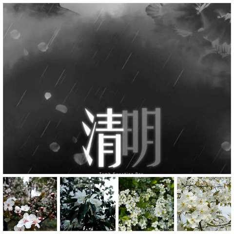 缅怀先烈，寄托哀思