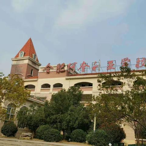 疫路运动不停歇，强身健体待复学——阿奎利亚学校体育课线上教学