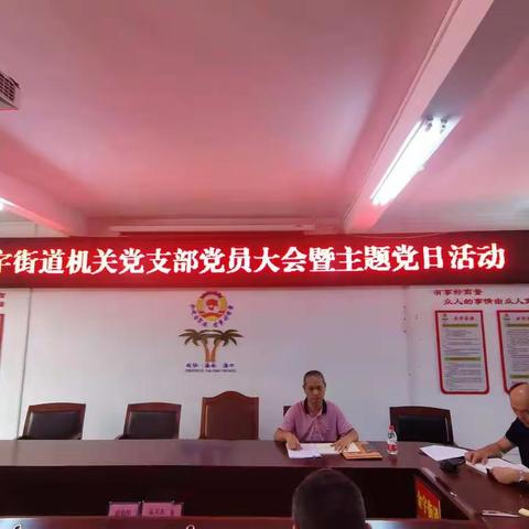 金宇街道机关党支部党员大会暨主题党日活动