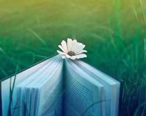 小龙女文选——工作中的“坏习惯”，又爱又恨