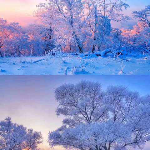 便是雾凇雪柳，更与卿说