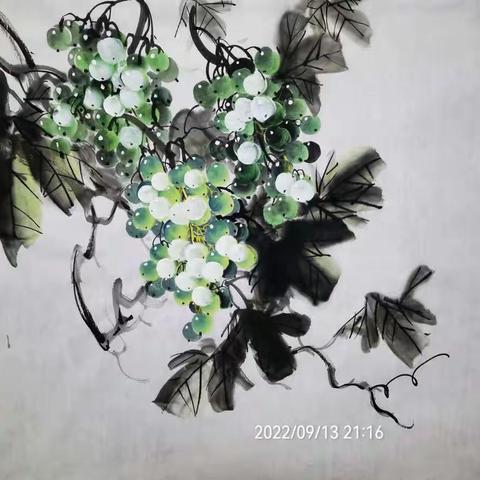 2022年夏秋的收获（2）