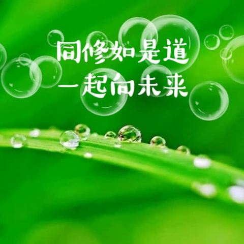 如是道修学体验班三期 正命家族27班 第1次课后打磨分享会