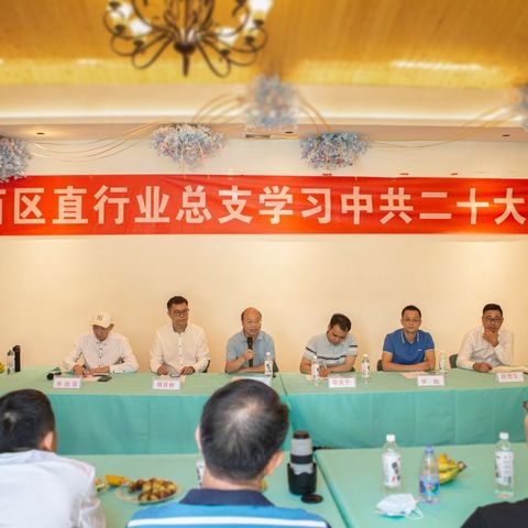 民建广西区直行业总支学习中共二十大精神座谈会