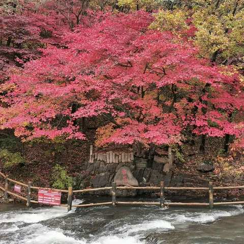 追寻红色记忆，拥抱美丽自然——本溪市27中学8年10班社会实践活动