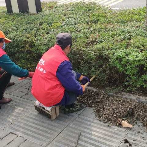 司马迁景区植树献绿活动