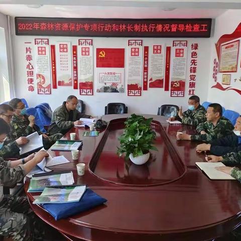 集团公司森林资源管理处莅临漠河林业局检查指导森林资源保护专项行动和林长制工作