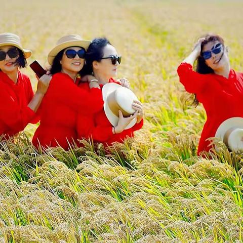 快乐就这么简单