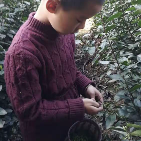 我劳动，我光荣——记大港头小学102班劳动笔记