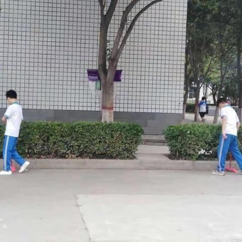 【马村区实验学校】创卫工作