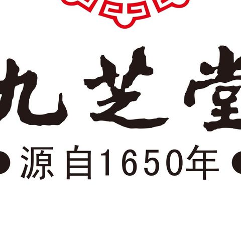 ——九芝堂营销中心西南大区云南省区半年度拓展活动